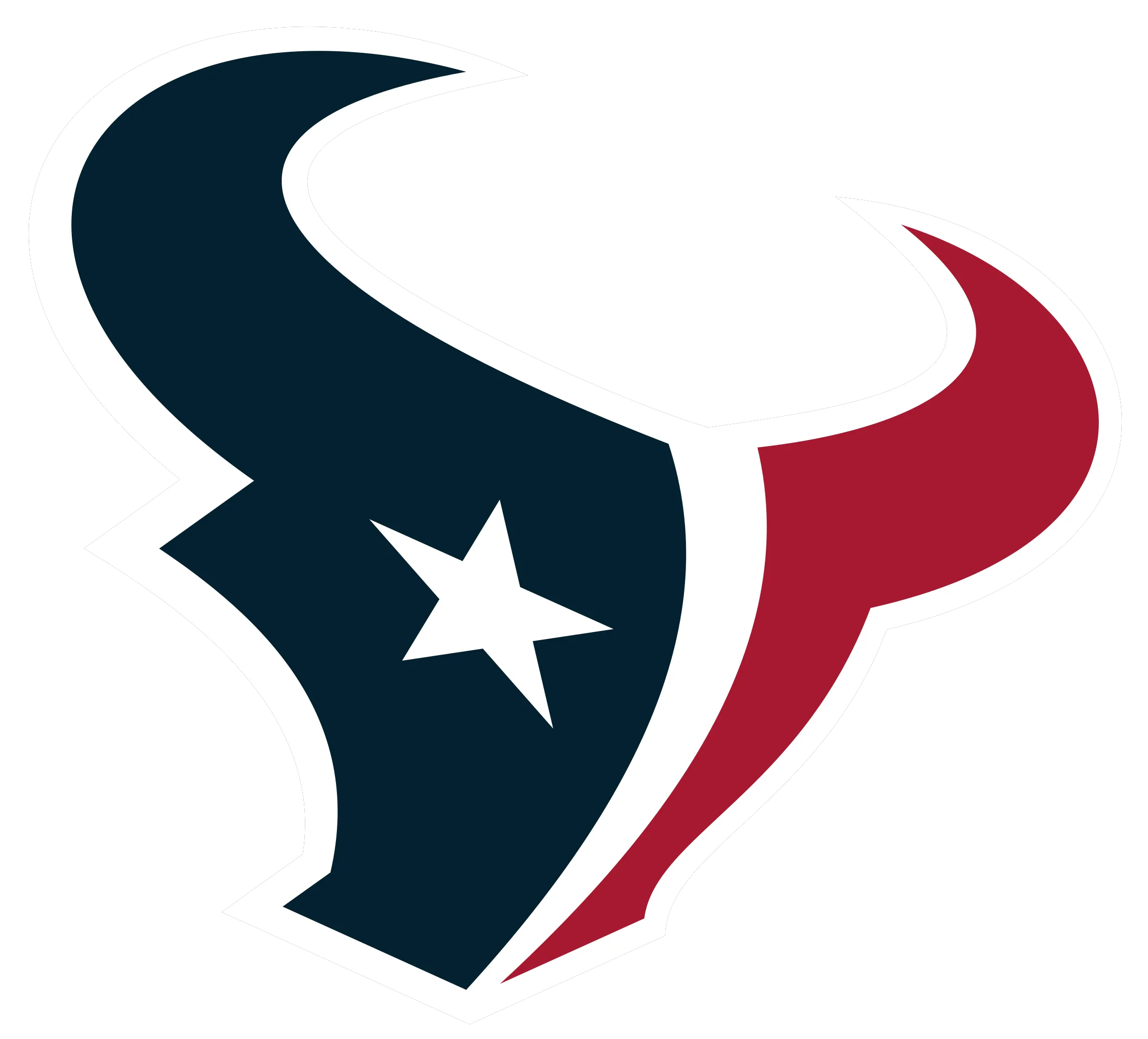  Houston Texans