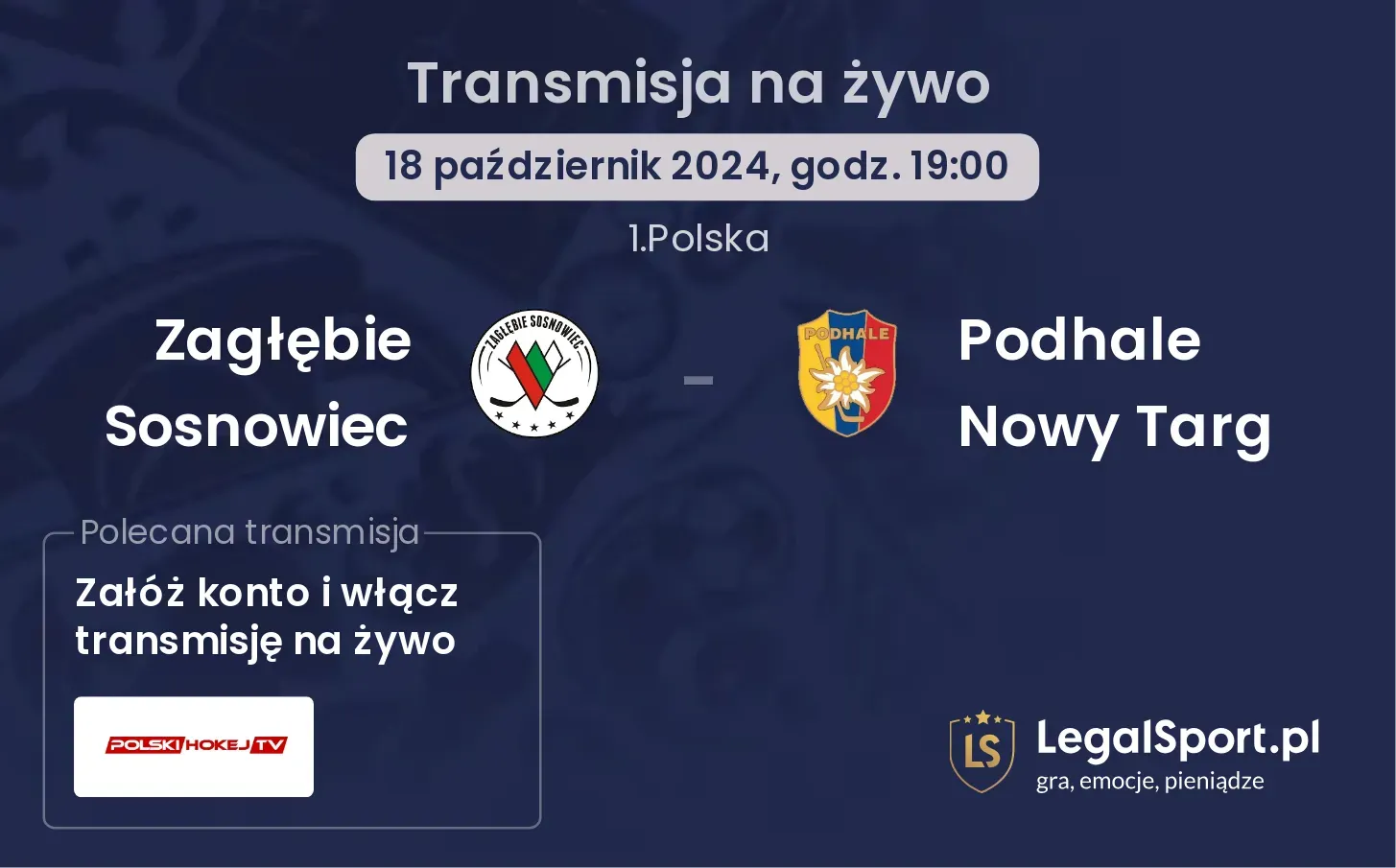 Zagłębie Sosnowiec - Podhale Nowy Targ transmisja na żywo