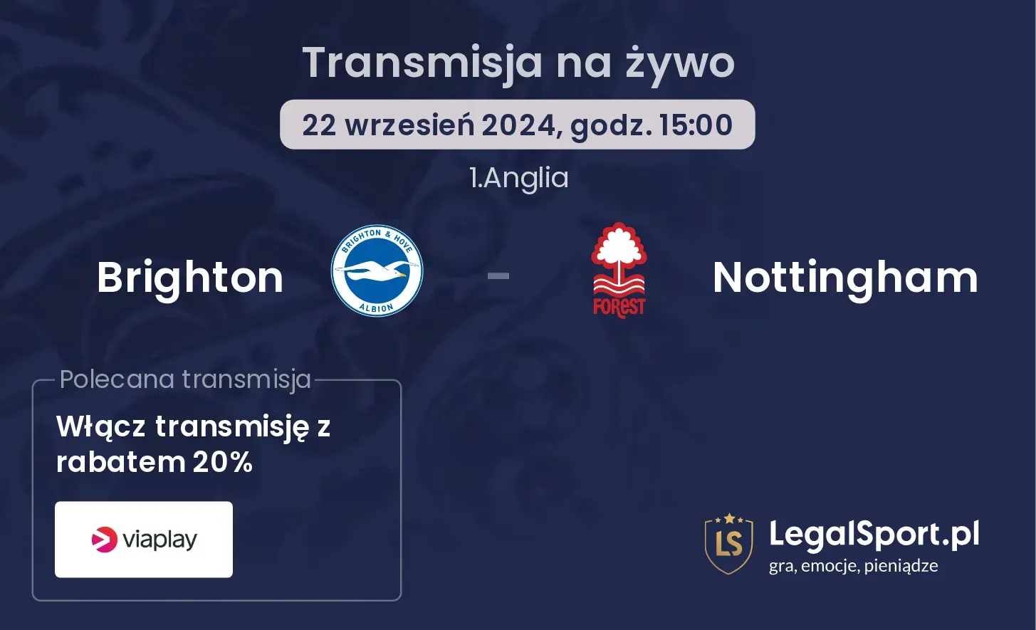 Brighton - Nottingham transmisja na żywo