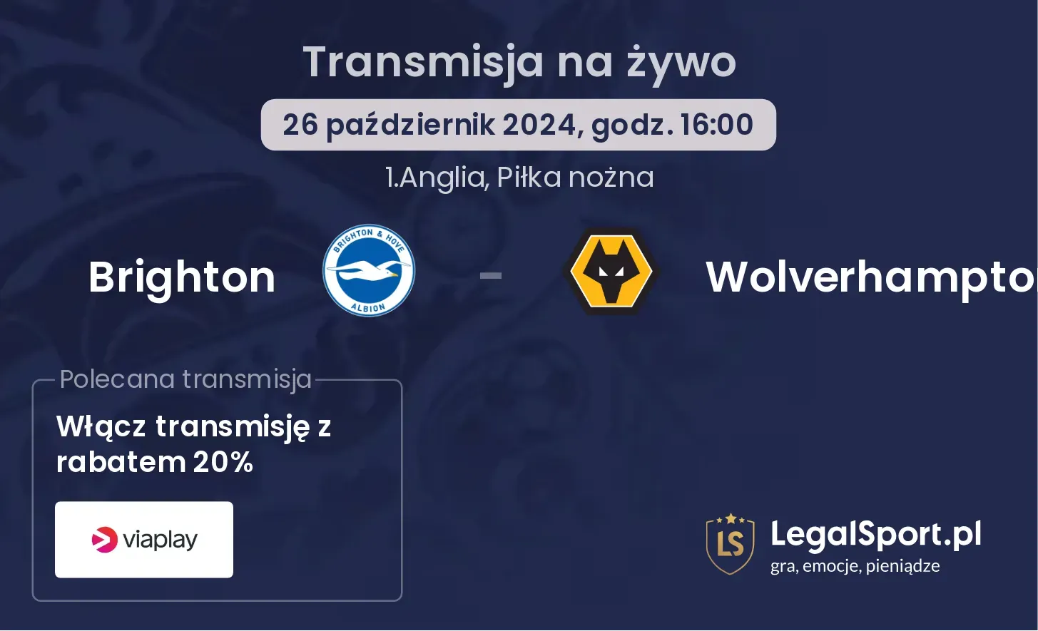 Brighton - Wolverhampton transmisja na żywo