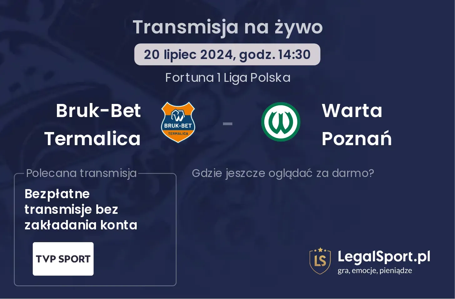 Bruk-Bet Termalica - Warta Poznań transmisja na żywo