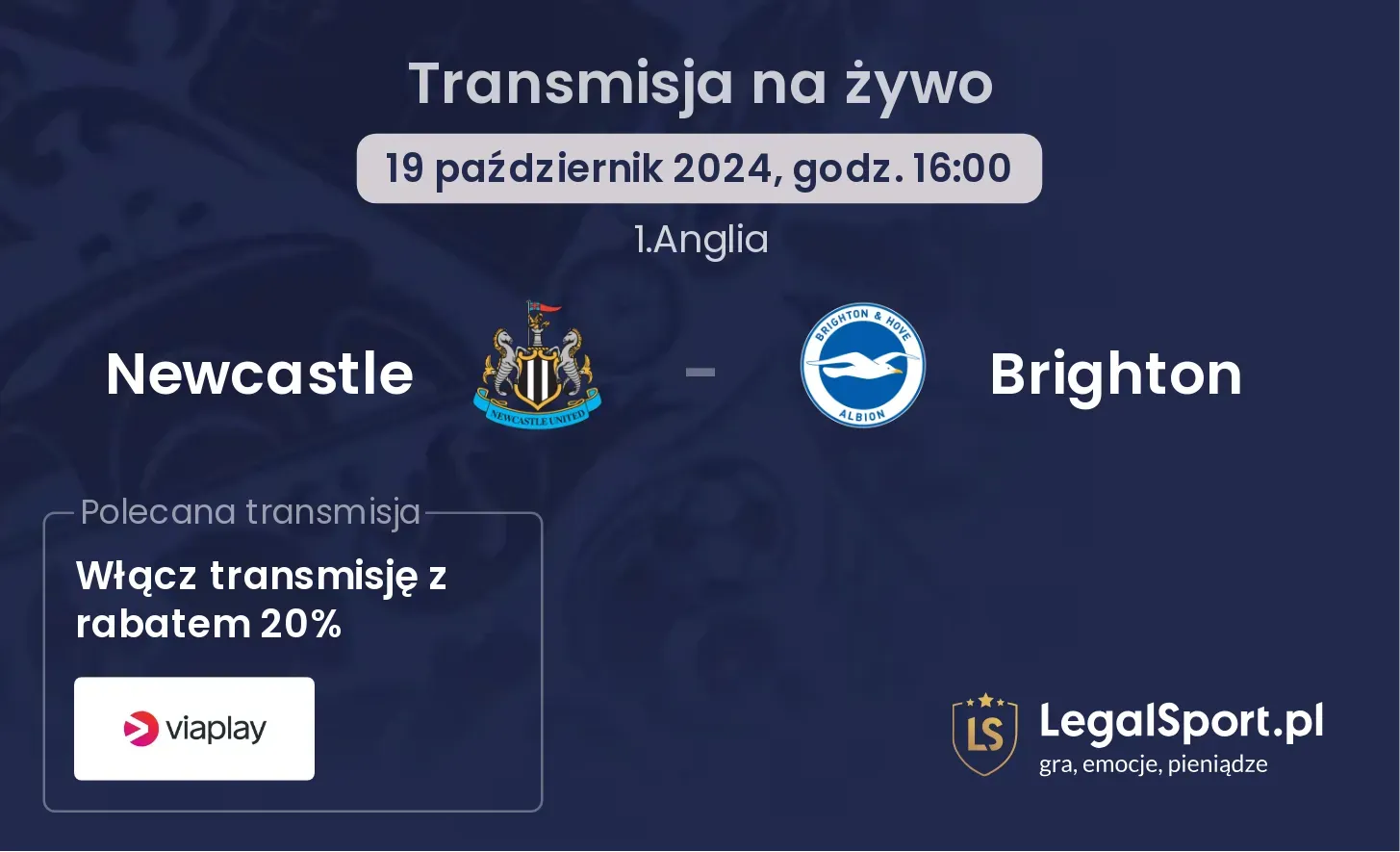 Newcastle - Brighton transmisja na żywo