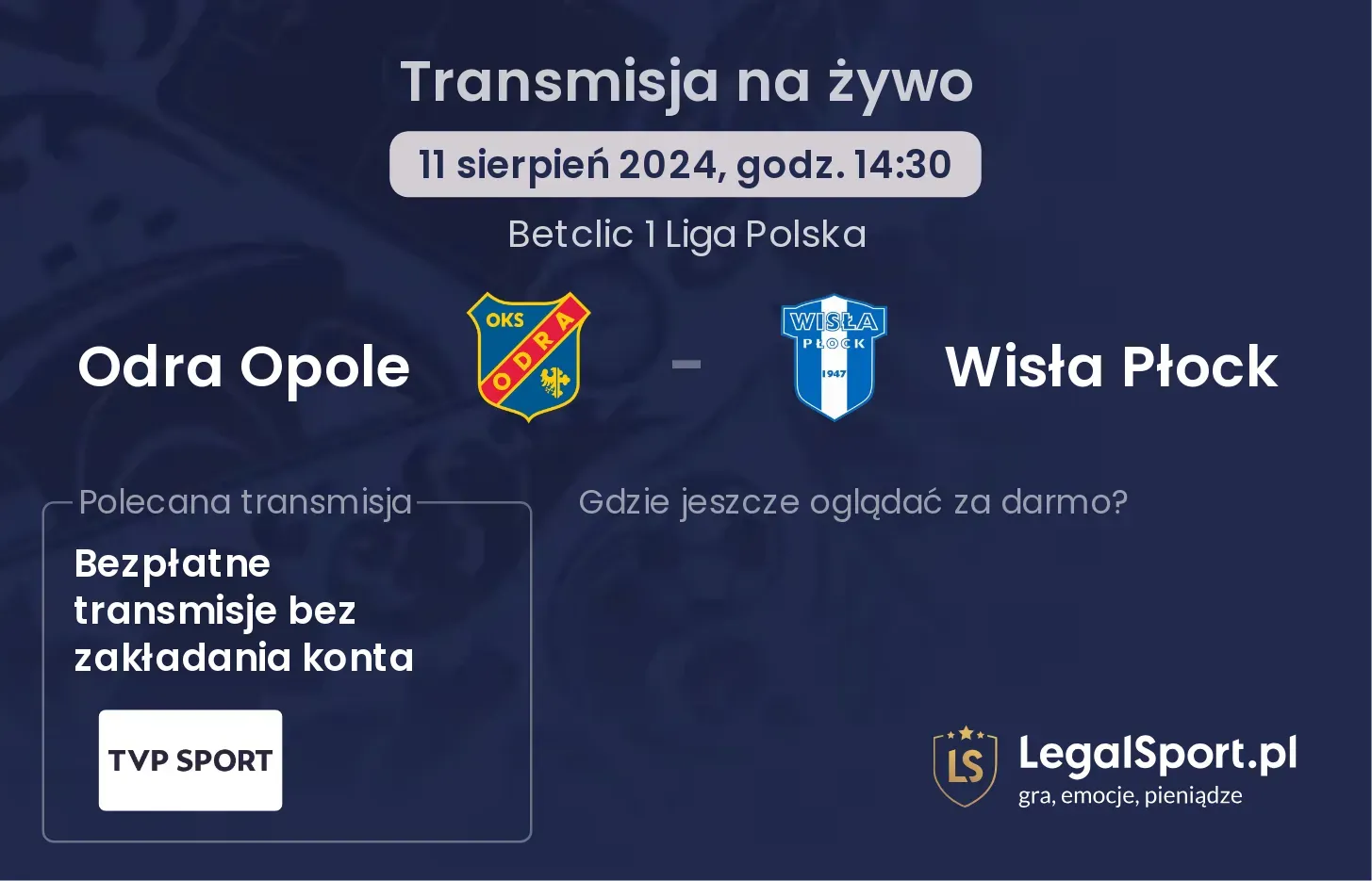 Odra Opole - Wisła Płock transmisja na żywo