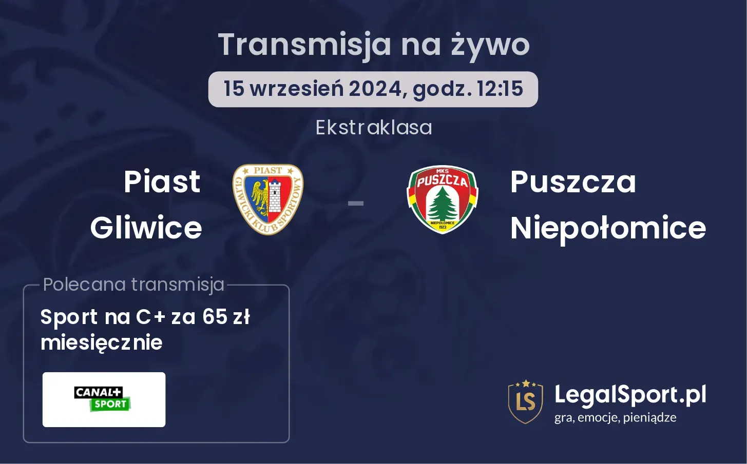 Piast Gliwice - Puszcza Niepołomice transmisja na żywo