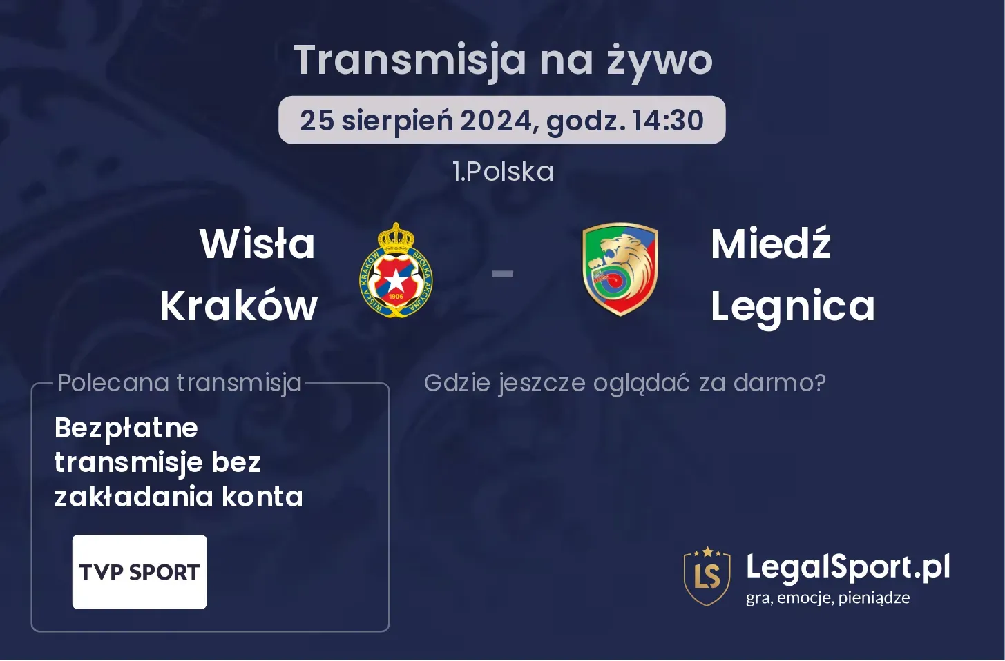 Wisła Kraków - Miedź Legnica transmisja na żywo