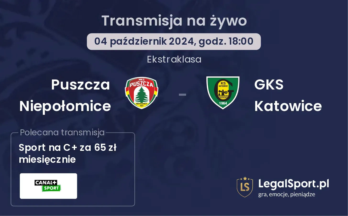 Puszcza Niepołomice - GKS Katowice transmisja na żywo