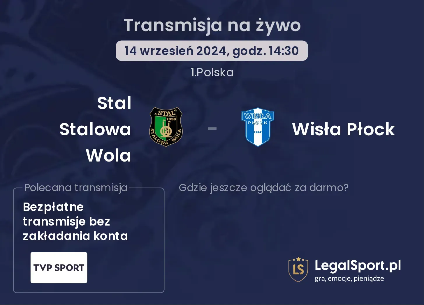 Stal Stalowa Wola - Wisła Płock transmisja na żywo